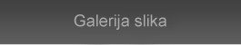 Galerija slika